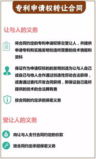 技術(shù)轉(zhuǎn)讓合同中的核心義務(wù) 從技術(shù)交付到市場(chǎng)推廣的權(quán)責(zé)解析
