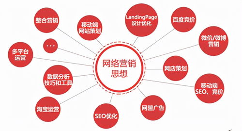 微網管新服務模式 信息系統集成服務